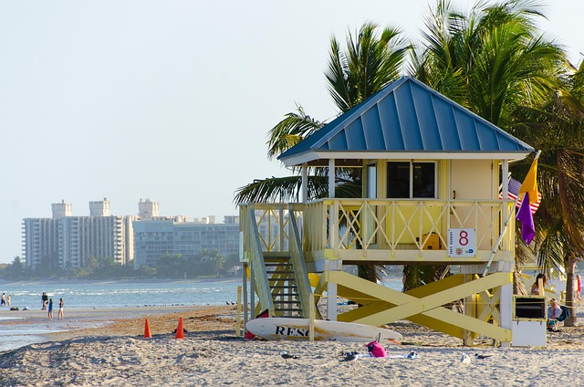 Explore Florida’s top 5 chess coaching academies. These statewide programs deliver expert training designed for learners from beginner to advanced levels.