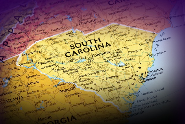 Discover the top 5 chess coaching academies in South Carolina. Learn from experienced instructors across the state in programs designed for all levels.