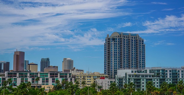Explore the top 5 chess academies in Tampa, FL. Whether you're a beginner or advanced player, these coaching programs help improve skill and confidence.