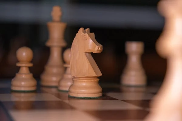 This is not just a chess school. This is where young minds are trained to think like champions. If you want chess lessons that are fun, smart, and truly helpful—this is your place.