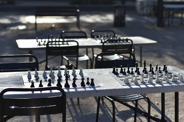 Top 5 chess academies in Opera Estate, Bedok Singapore. Learn strategy, tactics, and master the game with expert coaching nearby.
