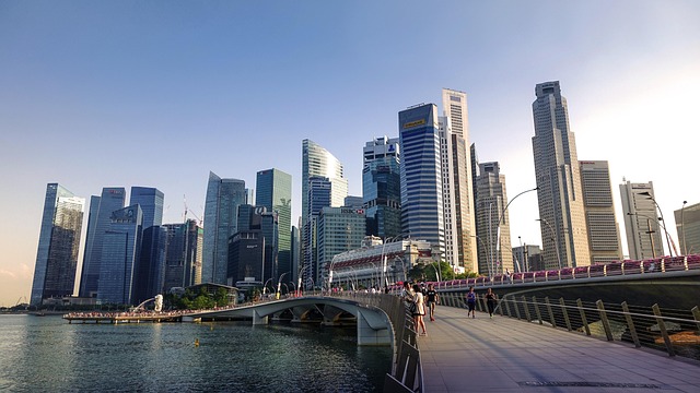 Discover the top 5 chess coaching academies in Singapore. Perfect for all ages—build mastery with expert guidance and proven programs.